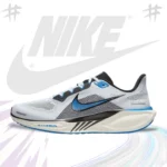 Nike Pegasus 41 | Grade 1:1